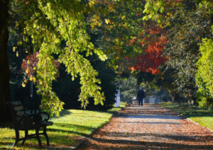 Cook Park