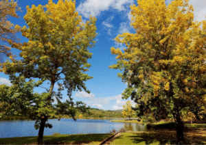 Lake Canobolas