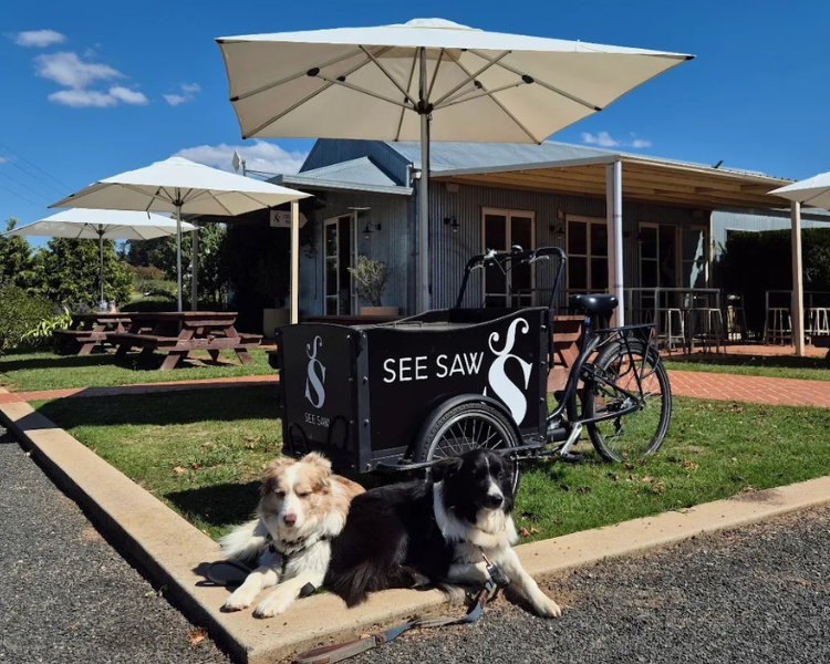 Pet Friendly Cellar Door