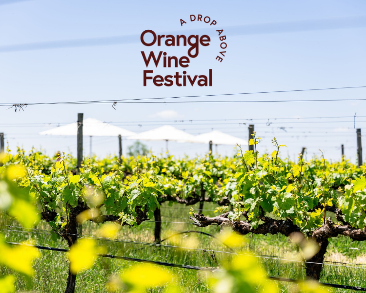 Orange Wine Festival